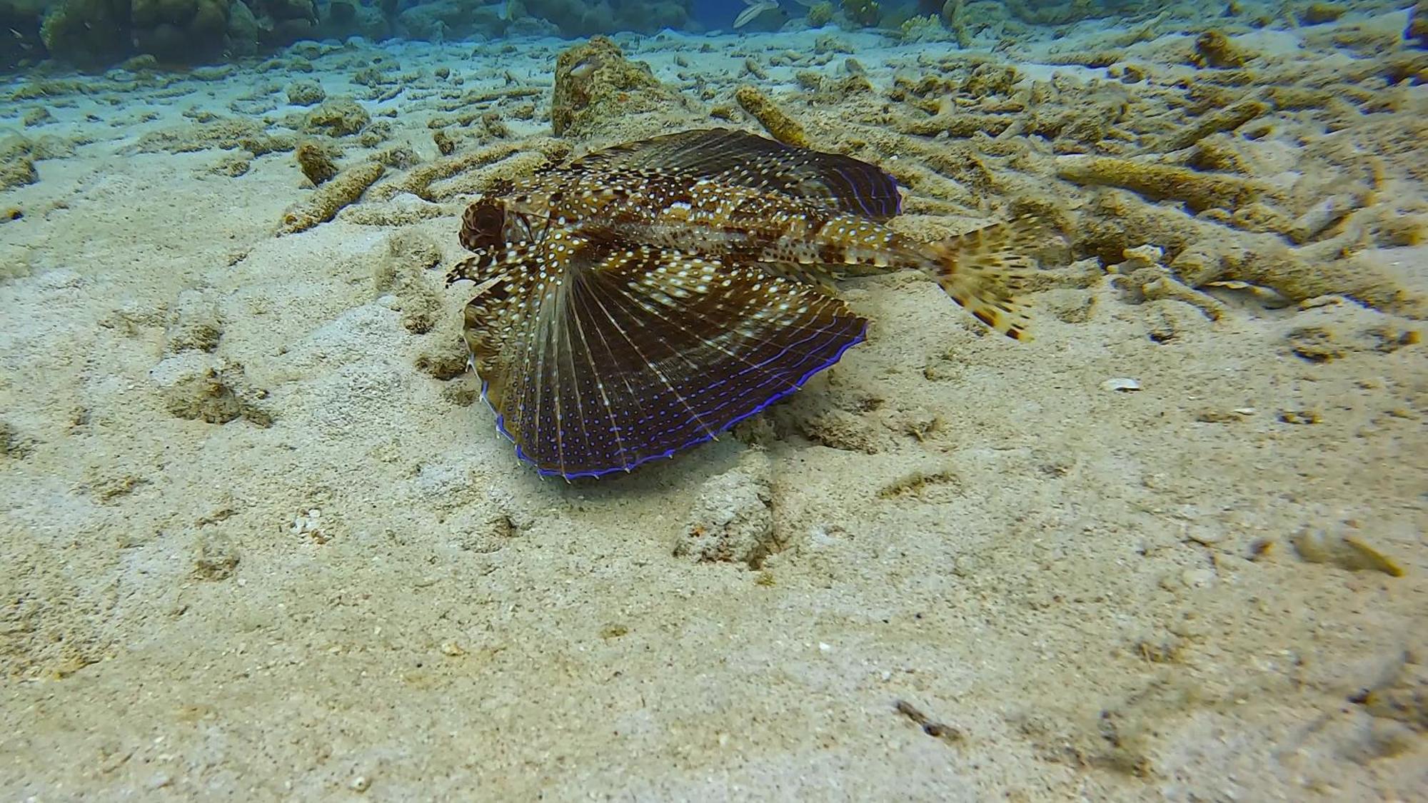 הוילה Westpunt Finisterre Curacao מראה חיצוני תמונה